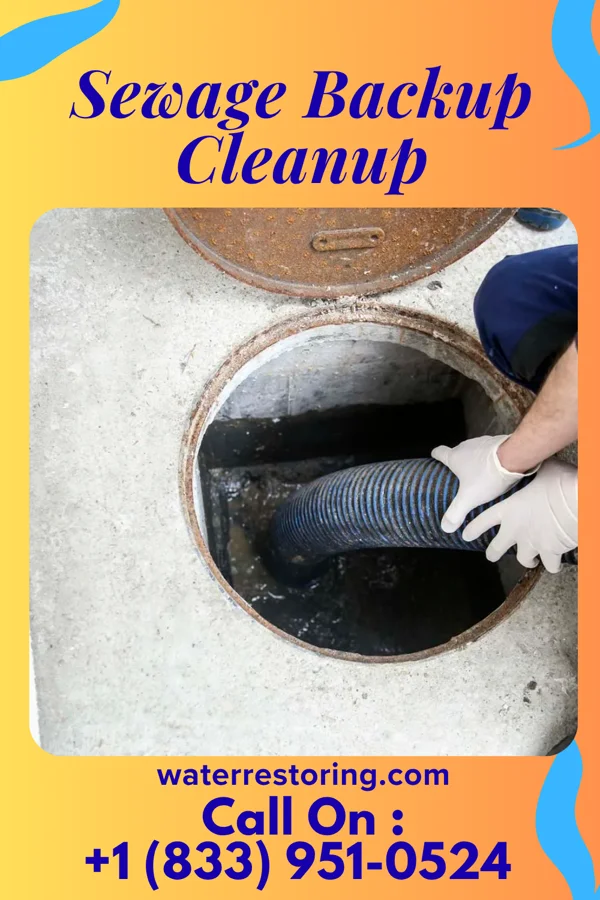 Sewage Backup Cleanup in Nauvoo, AL